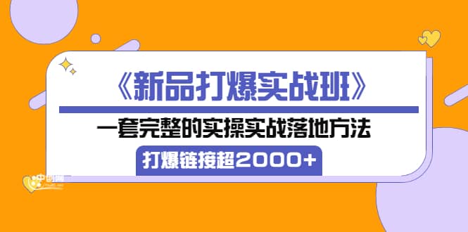 《新品打爆实战班》一套完整的实操实战落地方法，打爆链接超2000+（38节课)-宇文网创