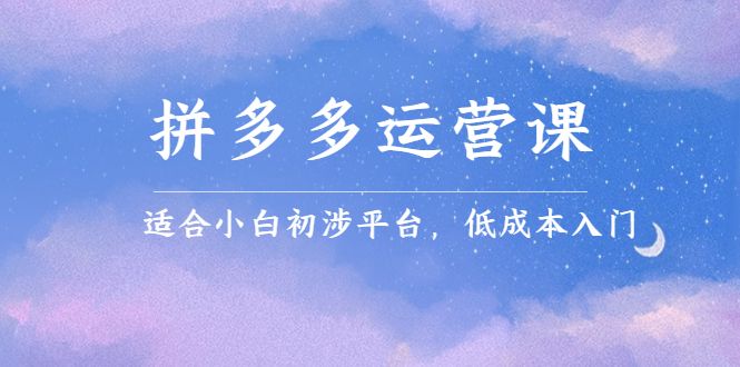 拼多多运营课，适合小白初涉平台，低成本入门-宇文网创