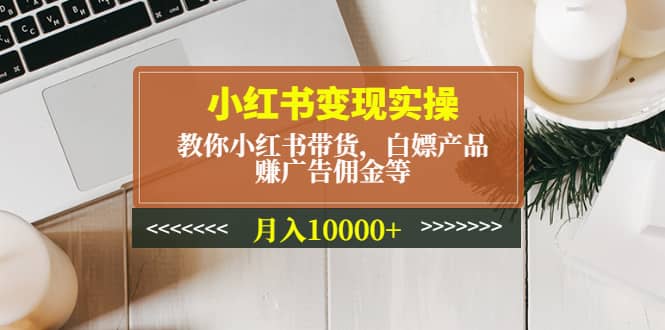 小红书变现实操：教你小红书带货，白嫖产品，赚广告佣金等-宇文网创