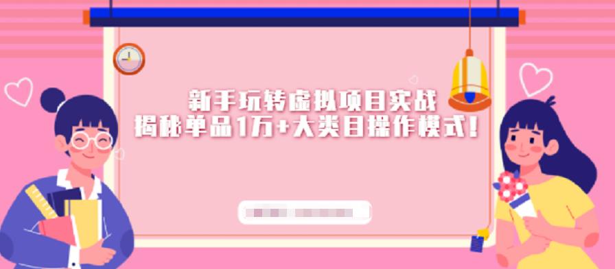新手玩转虚拟项目实战，揭秘单品1万+大类目操作模式【视频课程】-宇文网创