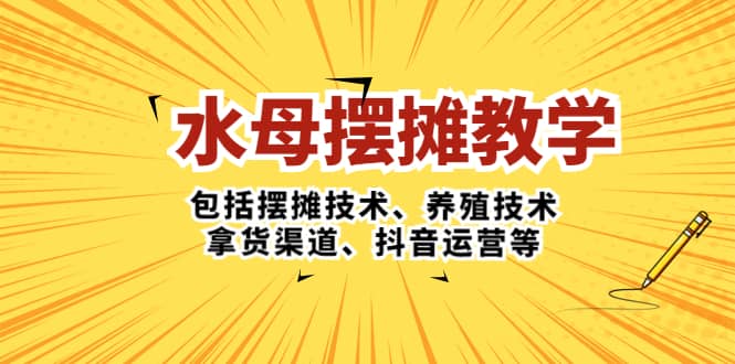 水母·摆摊教学，包括摆摊技术、养殖技术、拿货渠道、抖音运营等-宇文网创