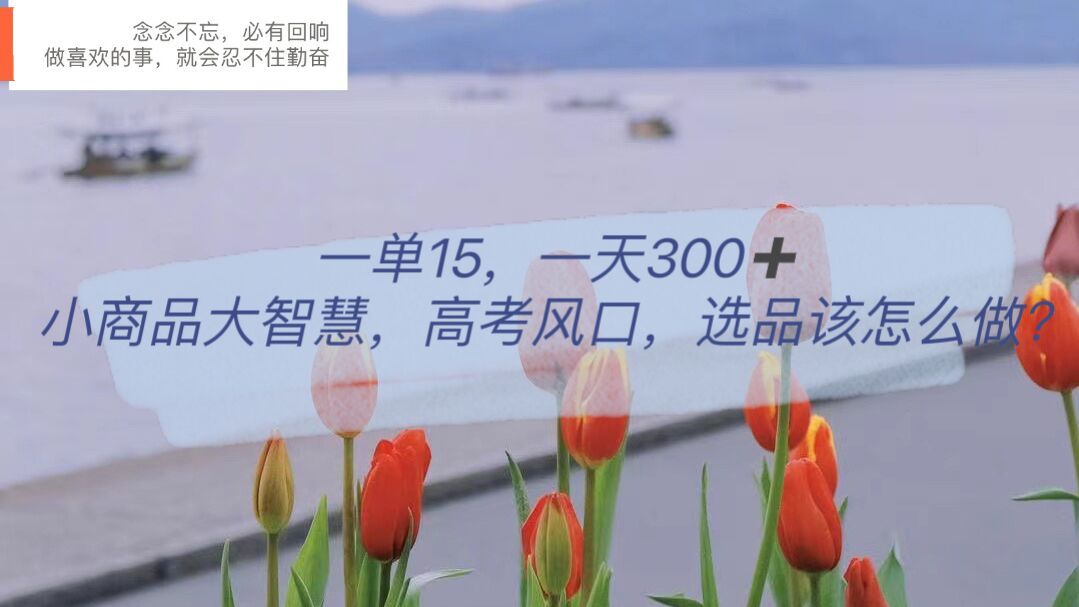 一单15，一天300+，小商品大智慧，高考风口，选品该怎么布局-宇文网创