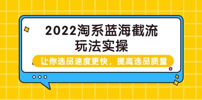 2022淘系蓝海截流玩法实操：让你选品速度更快，提高选品质量（价值599）-宇文网创