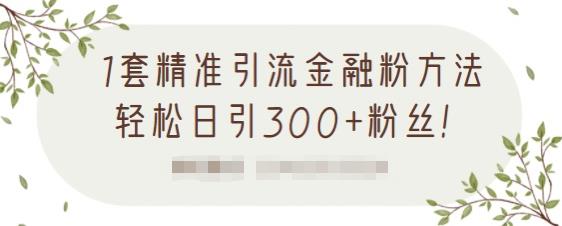 1套精准引流金融粉方法，轻松日引300+粉丝【视频课程】-宇文网创