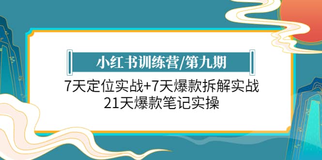 小红书训练营/第九期:7天定位实战+7天爆款拆解实战,21天爆款笔记实操-宇文网创