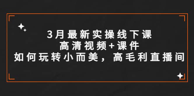 3月最新实操线下课高清视频+课件，如何玩转小而美，高毛利直播间-宇文网创
