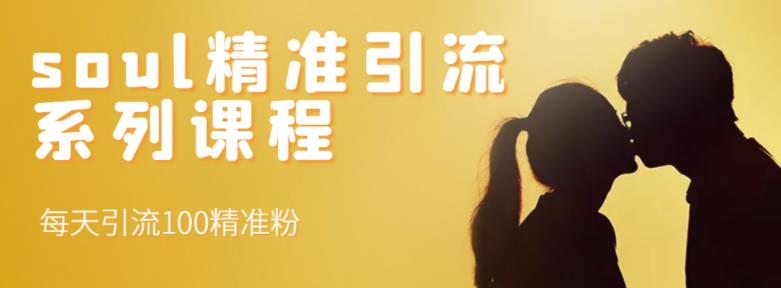 soul精准引流系列课程，每天引流100精准粉-宇文网创