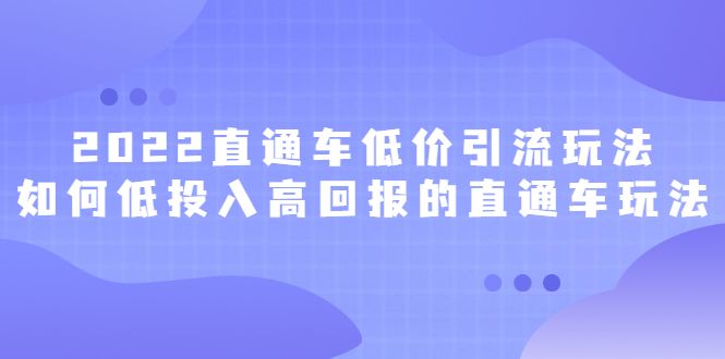 2022直通车低价引流玩法，教大家如何低投入高回报的直通车玩法-宇文网创