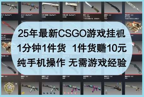 25年最新CSGO游戏挂G，1分钟1件货，1件货挣10元，纯手机操作，无需游戏经验【揭秘】-宇文网创