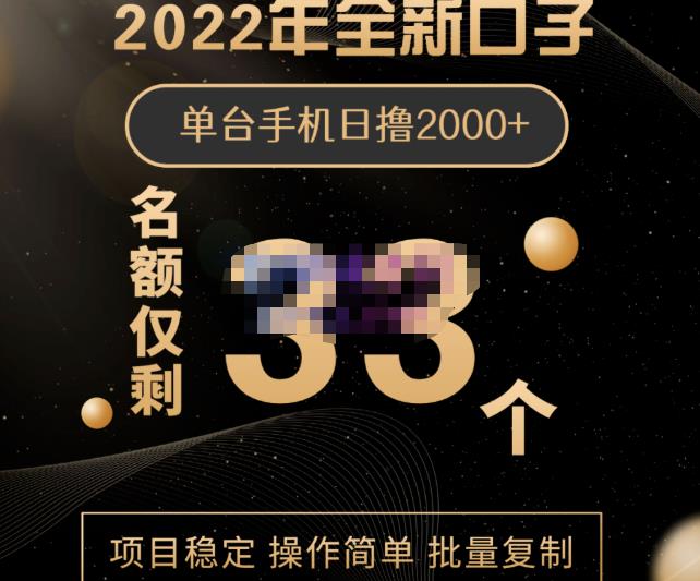 2022年全新口子，手机批量搬砖玩法，一部手机日撸2000+-宇文网创