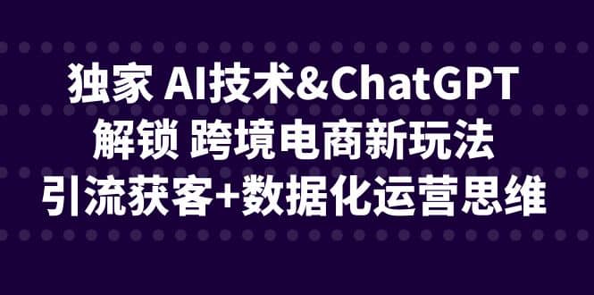 独家 AI技术ChatGPT解锁 跨境电商新玩法，引流获客+数据化运营思维-宇文网创