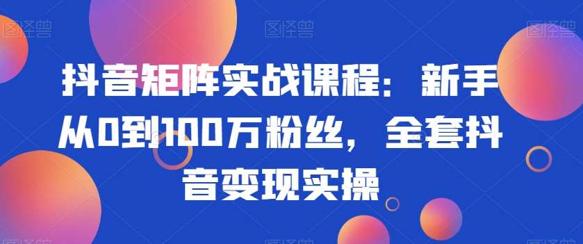 抖音矩阵实战课程：新手从0到100万粉丝，全套抖音变现实操-宇文网创