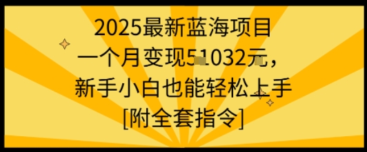 2025最新蓝海项目一个月变现1w+新手小白也能轻松上手【附全套指令】-宇文网创