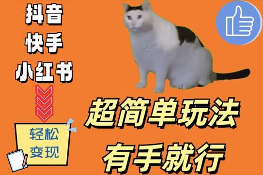 超简单玩法，有手就行，靠猫咪视频日入500+【揭秘】-宇文网创