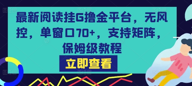 最新阅读挂G撸金平台，无风控，单窗口70+，支持矩阵，保姆级教程【揭秘】-宇文网创