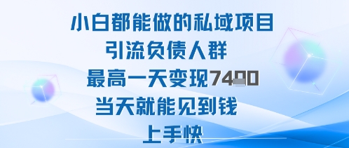 2025年小白都能做的私域项目引流负债人群最高一天变现1k+高变现难度低当天就能见到钱上手快-宇文网创