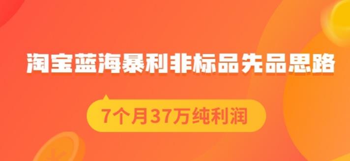 盗坤淘宝蓝海暴利非标品先品思路，7个月37万纯利润，压箱干货分享！【付费文章】-宇文网创