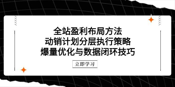 (14698期)全站盈利布局方法:动销计划分层执行策略,爆量优化与数据闭环技巧-宇文网创