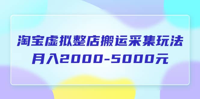淘宝虚拟整店搬运采集玩法分享课：月入2000-5000元（5节课）-宇文网创