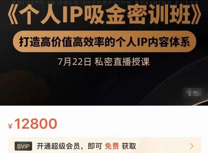 个人IP吸金密训班，打造高价值高效率的个人IP内容体系（价值12800元）-宇文网创