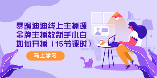 暴躁迪迪线上主播课，金牌主播教新手小白如何开播（15节课时）-宇文网创