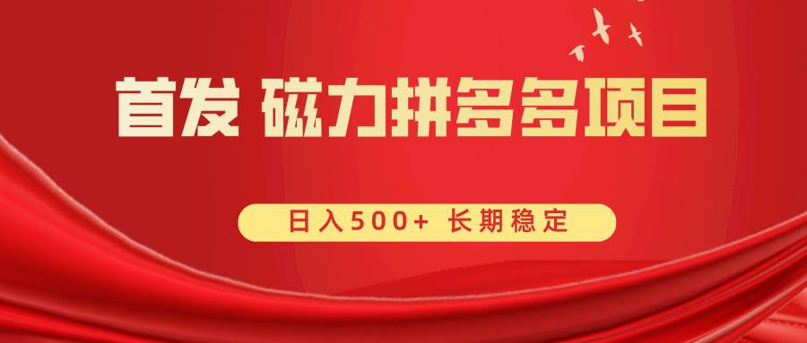 （8611期）首发 磁力拼多多自撸  日入500+-宇文网创
