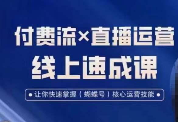 视频号付费流实操课程，付费流✖️直播运营速成课，让你快速掌握视频号核心运营技能-宇文网创