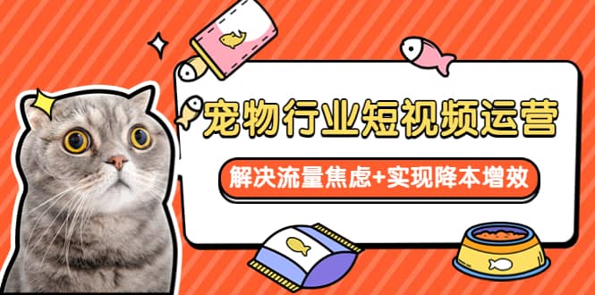 宠物/行业短视频运营 流量增长的一层窗户纸 解决流量焦虑+实现降本增效-宇文网创