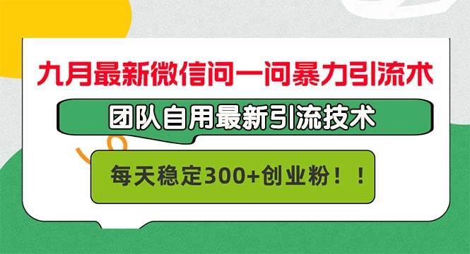 （12735期）九月最新微信问一问暴力引流术，团队自用引流术，每天稳定300+创…-宇文网创