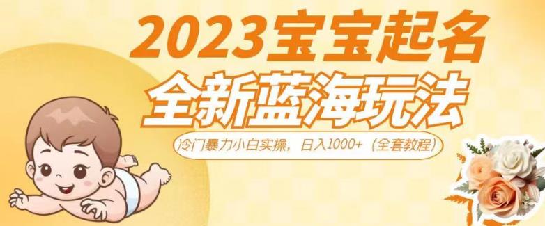 2023宝宝起名全新蓝海玩法，冷门暴力小白实操，日入1000+（全套教程）【揭秘】-宇文网创