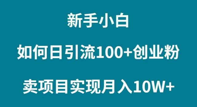 （9556期）新手小白如何通过卖项目实现月入10W+-宇文网创