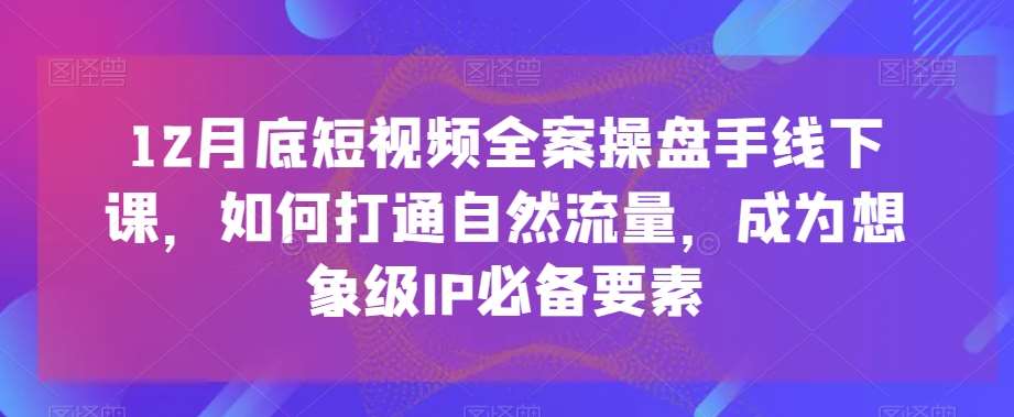 12月底短视频全案操盘手线下课，如何打通自然流量，成为想象级IP必备要素-宇文网创