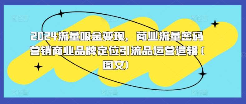 2024流量吸金变现，商业流量密码营销商业品牌定位引流品运营逻辑(图文)-宇文网创
