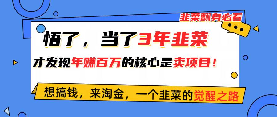 （10759期）悟了，当了3年韭菜，才发现网赚圈年赚100万的核心是卖项目，含泪分享！-宇文网创