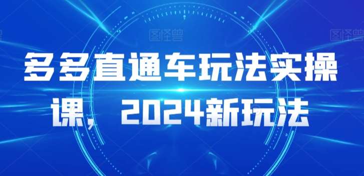 多多直通车玩法实操课,2024新玩法-宇文网创