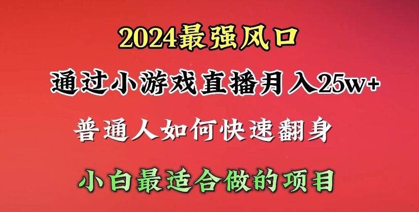 （10020期）2024年最强风口，通过小游戏直播月入25w+单日收益5000+小白最适合做的项目-宇文网创