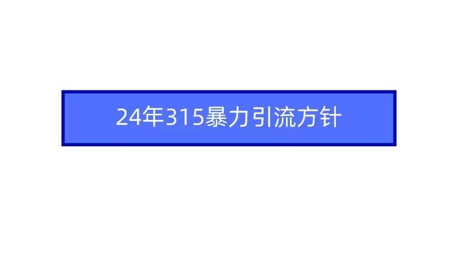 （9398期）2024年315暴力引流方针-宇文网创