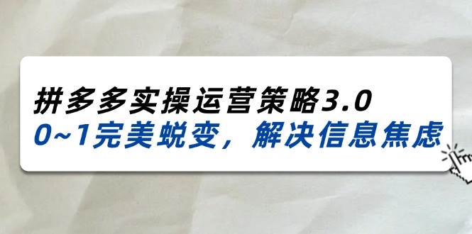 （11658期）2024_2025拼多多实操运营策略3.0，0~1完美蜕变，解决信息焦虑（38节）-宇文网创