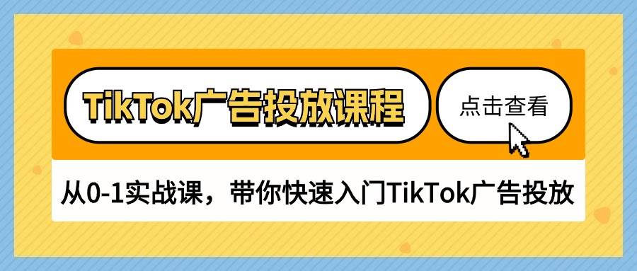 （10731期）TikTok广告投放课程，从0-1实战课，带你快速入门TikTok广告投放（30节课）-宇文网创
