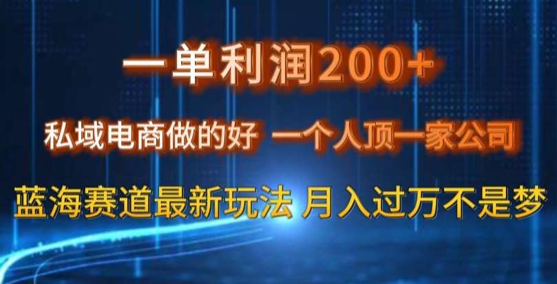 一单利润200私域电商做的好，一个人顶一家公司蓝海赛道最新玩法【揭秘】-宇文网创