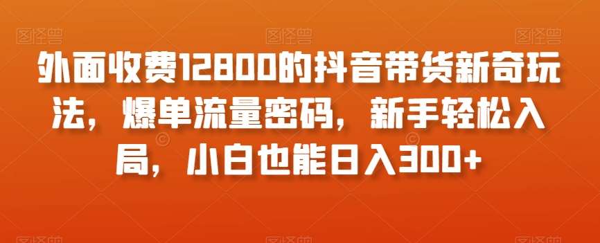 外面收费12800的抖音带货新奇玩法，爆单流量密码，新手轻松入局，小白也能日入300+【揭秘】-宇文网创