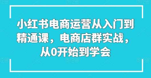 小红书电商运营从入门到精通课，电商店群实战，从0开始到学会-宇文网创