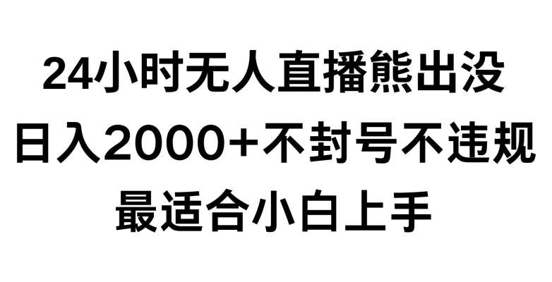 快手24小时无人直播熊出没，不封直播间，不违规，日入2000+，最适合小白上手，保姆式教学【揭秘】-宇文网创