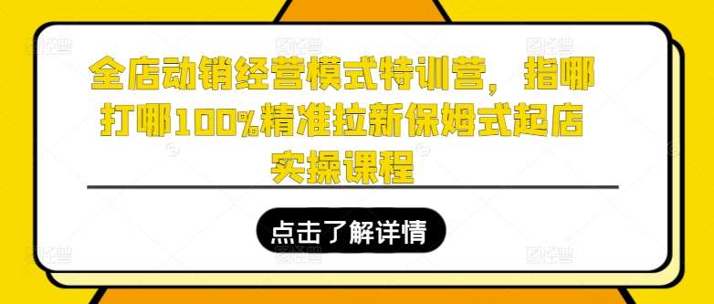 全店动销经营模式特训营，指哪打哪100%精准拉新保姆式起店实操课程-宇文网创