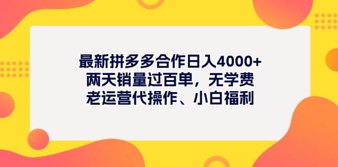 （11410期）最新拼多多项目日入4000+两天销量过百单，无学费、老运营代操作、小白福利-宇文网创
