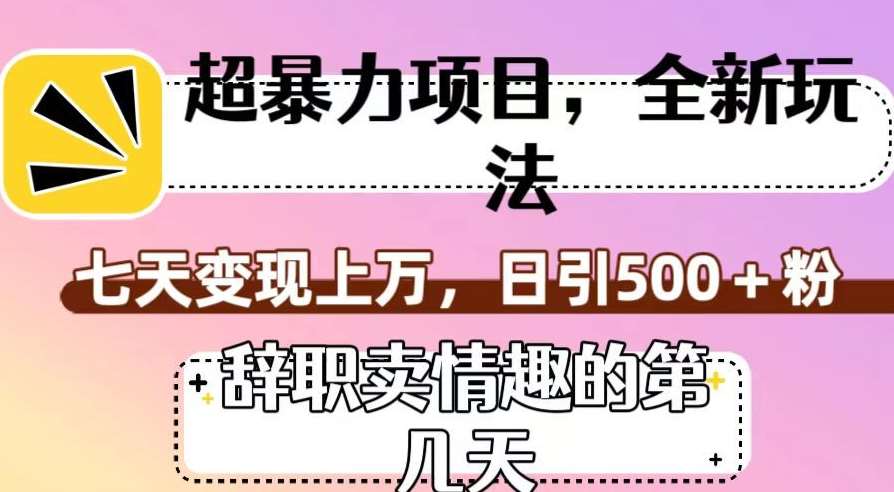 超暴利项目，全新玩法（辞职卖情趣的第几天），七天变现上万，日引500+粉【揭秘】-宇文网创