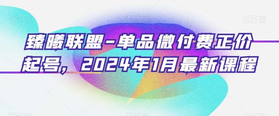 臻曦联盟-单品微付费正价起号，2024年1月最新课程-宇文网创
