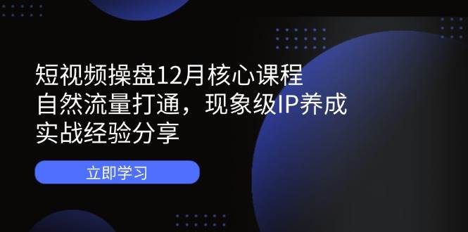 （14447期）短视频操盘12月核心课程：自然流量打通，现象级IP养成，实战经验分享-宇文网创