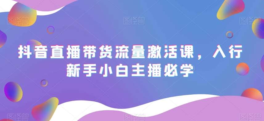 抖音直播带货流量激活课，入行新手小白主播必学-宇文网创