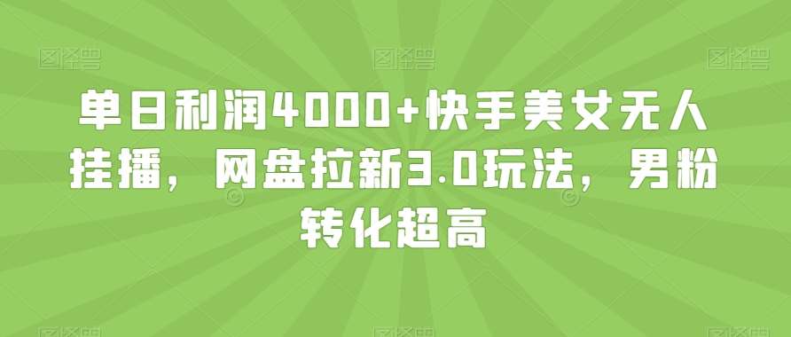 单日利润4000+快手美女无人挂播，网盘拉新3.0玩法，男粉转化超高【揭秘】-宇文网创